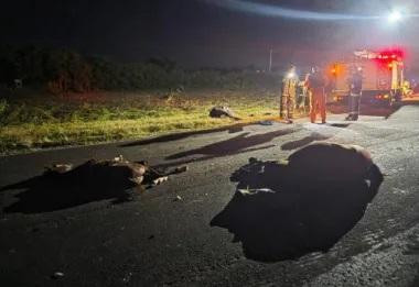 Tres mujeres heridas tras colisionar el auto en el que viajaban con caballos sueltos en Ruta Provincial 27.